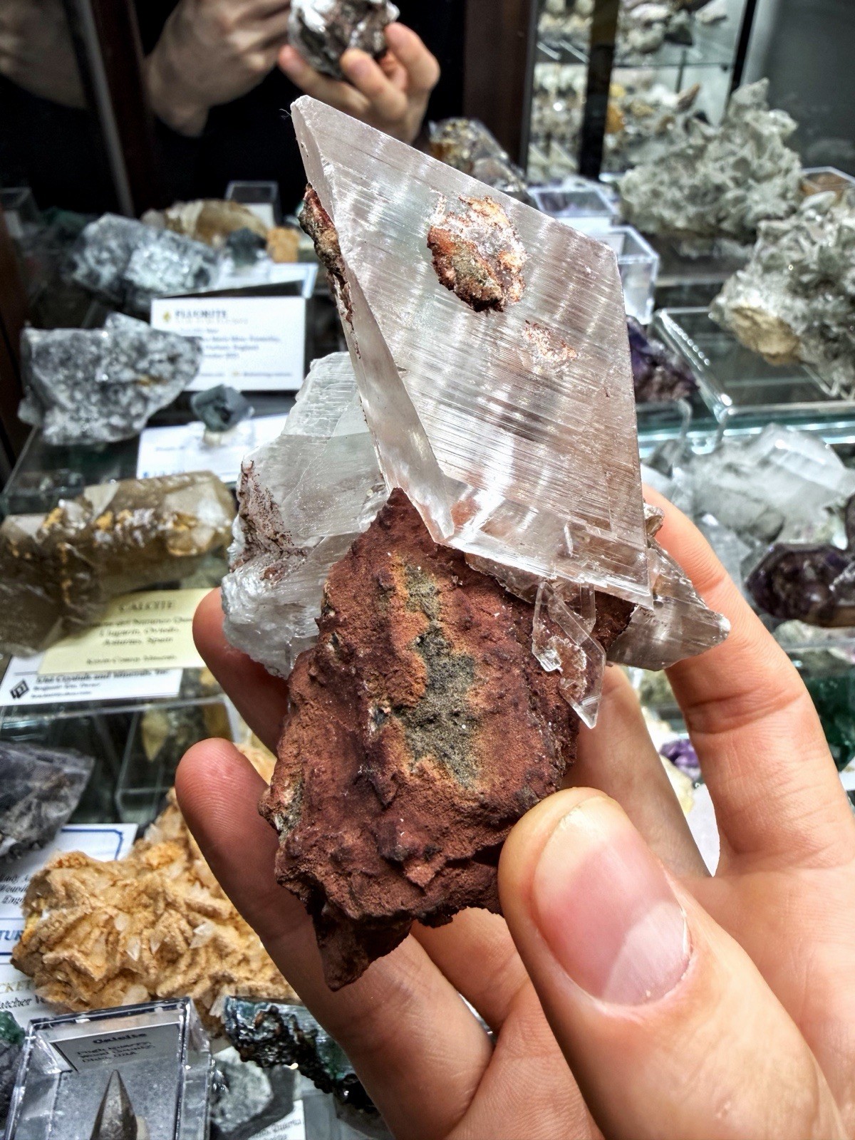 Gypsum Var. Selenite From Chihuahua, Mexico