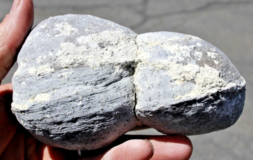 One Whole Double Bubble Dugway Geode • 5.25″ diameter • 2 lb. 2 oz.