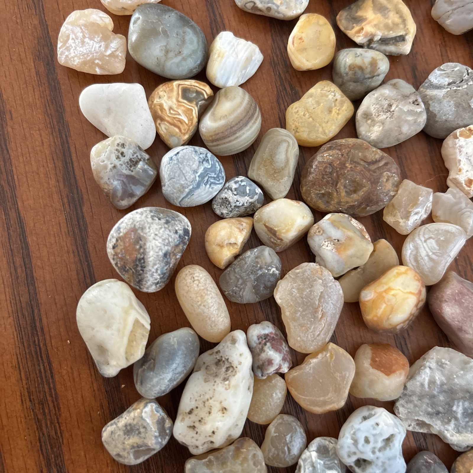 Lot of 1 pound Prair Agates Wyoming- South Dakota Banding Not Polished