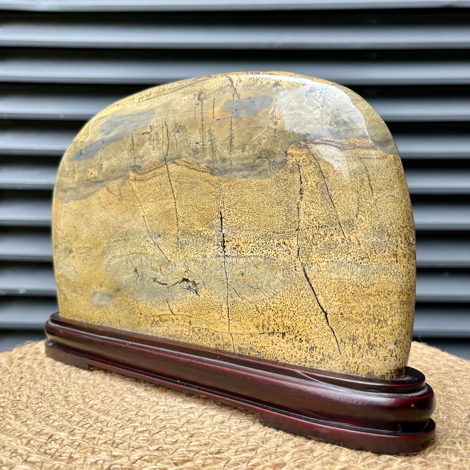 Natural Scenic Stone Display Polished Pattern Art w/ Wood Stand 4.1 lb