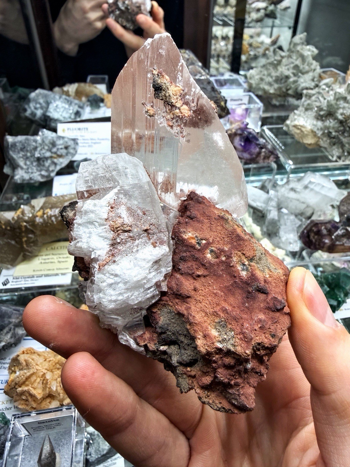 Gypsum Var. Selenite From Chihuahua, Mexico