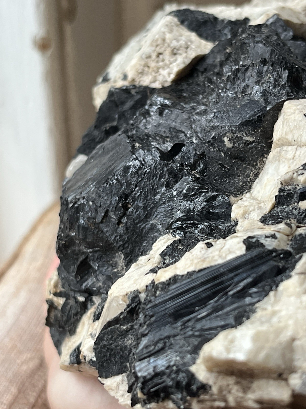 HUGE 6lb 9” Black Tourmaline Schorl Crystals In Matrix Maine USA Locality Quartz