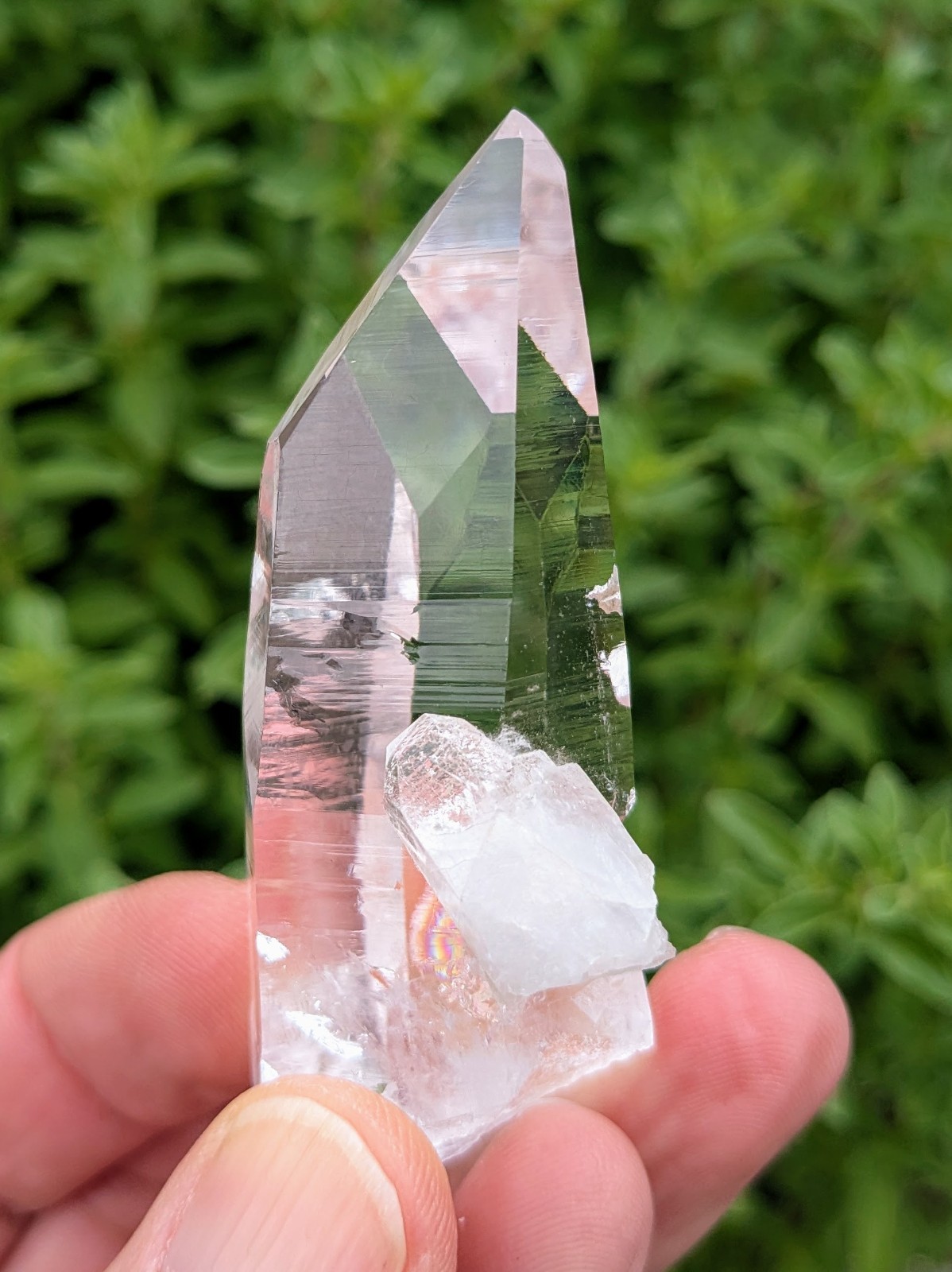 Lemurian Quartz Crystal – Penas Blancas, Colombia