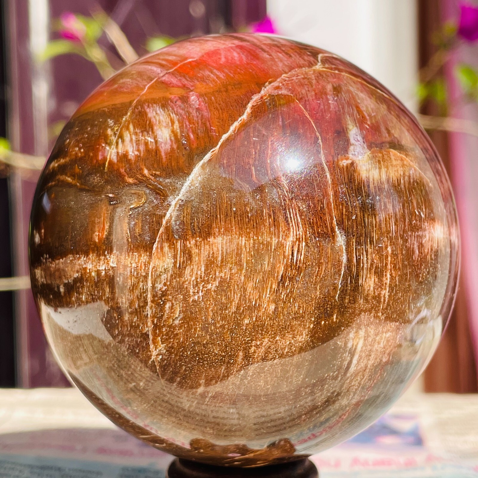 640g Natural Red Petrified Wood Crystal Ball Fossil Polished Sphere Specimen