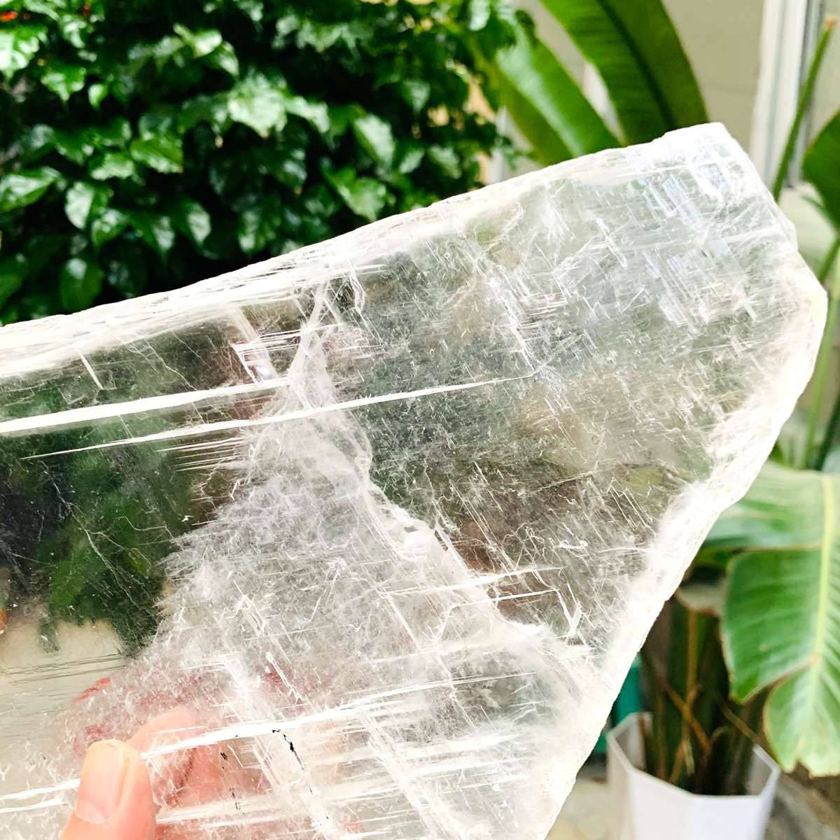 3.59LB Natural Clear Transparent Selenite Slab Gypsum Crystal Mineral Specimen
