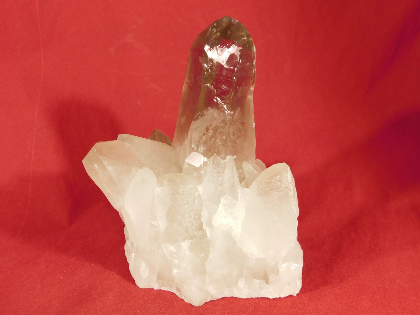 BIG! Free Standing! SMOKY Quartz Crystal Cluster From Brazil 792gr