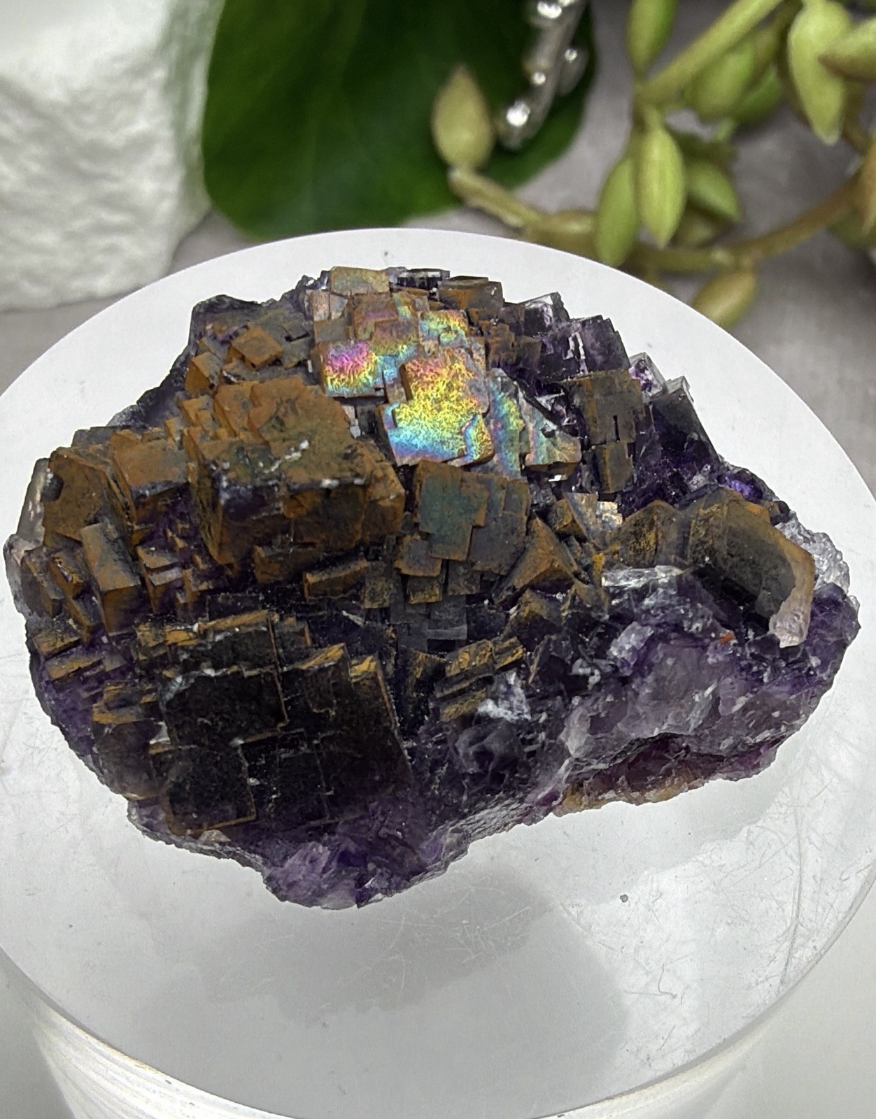 Crystal 25g Rainbow Covered Purple Fluorite UV Reactive Cluster Specimen Mineral