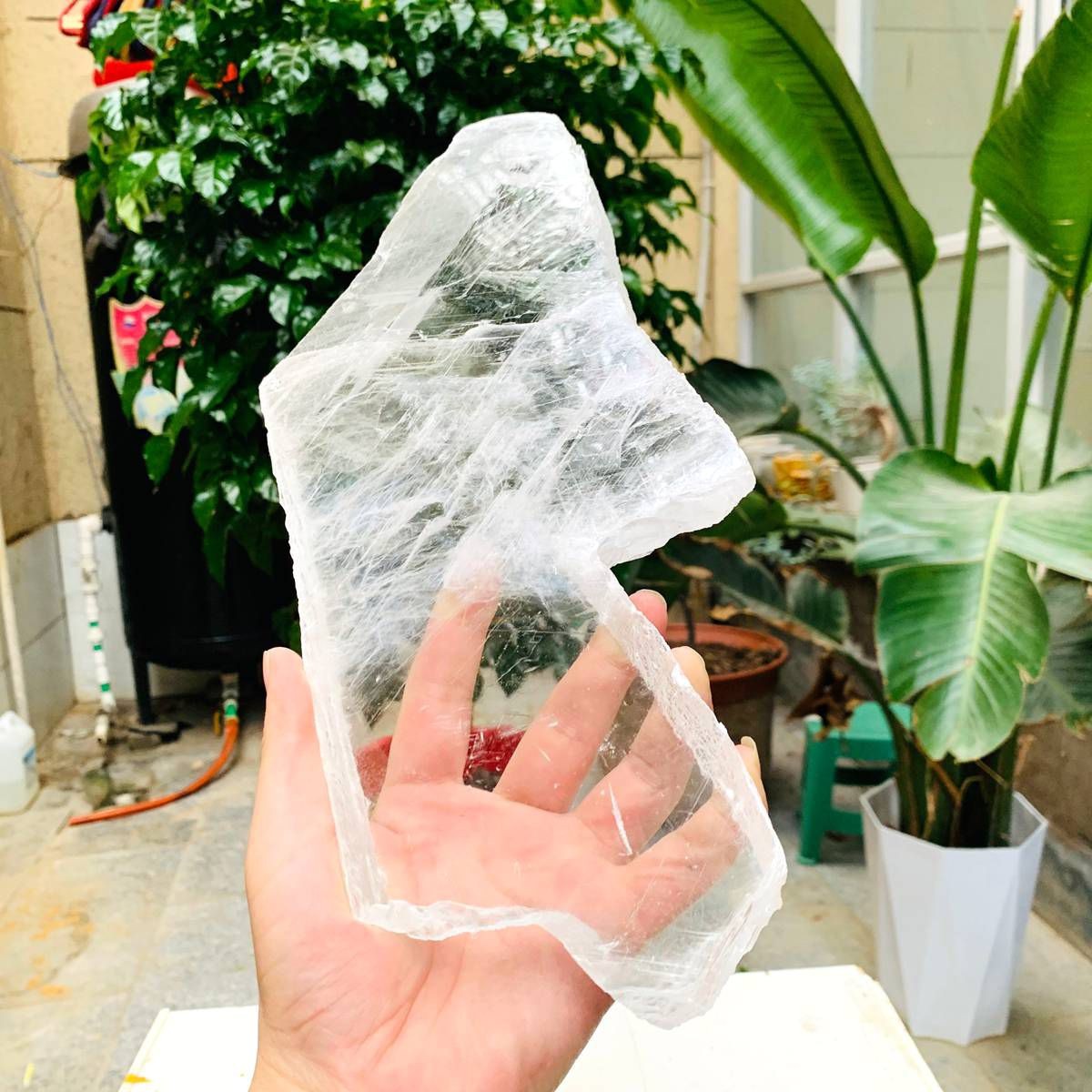2.84LB Natural Clear Transparent Selenite Slab Gypsum Crystal Mineral Specimen