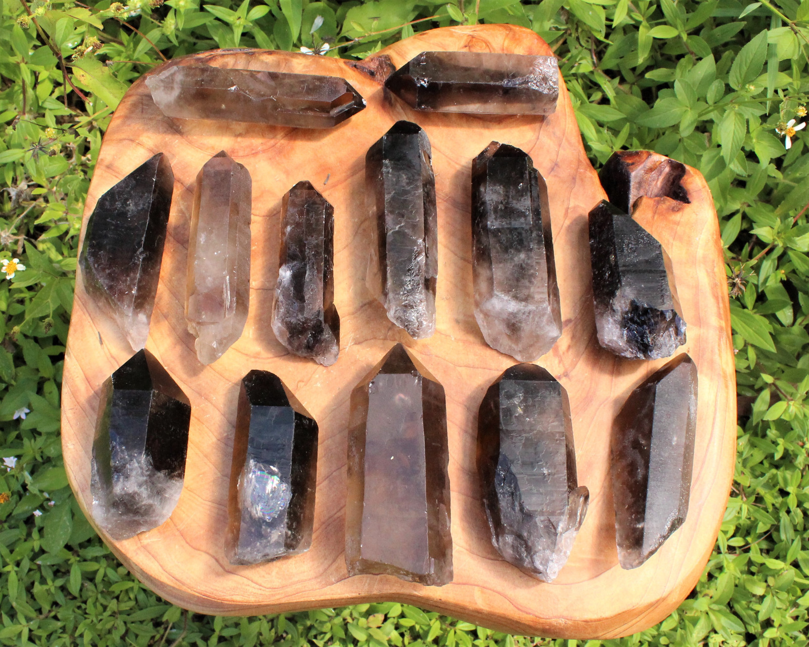 Smoky Quartz Points, LARGE ‘AAA’ Grade Smoky Quartz Crystal Point: Choose Size