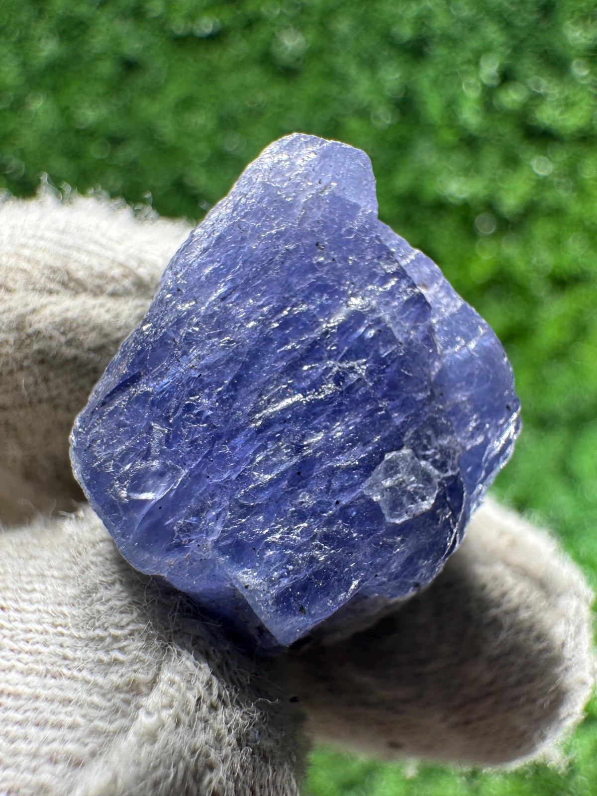 Rare TANZANITE Crystal with COLOR CHANGE under yellow/white light / N626