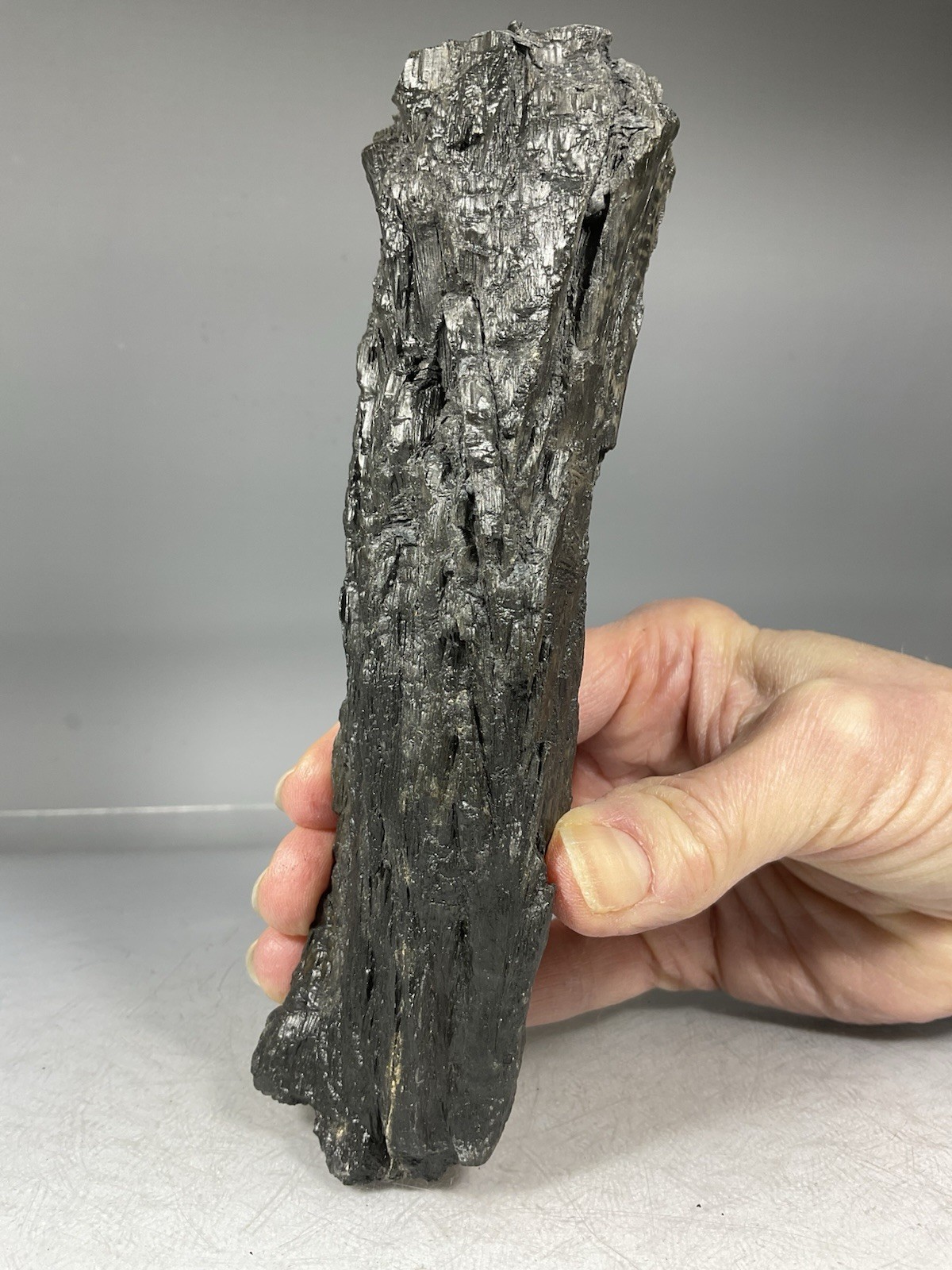 SS Rocks – Cone in Cone Structure “Calcite” (Jewel, Iowa) 389g ( 6 3/8″ )