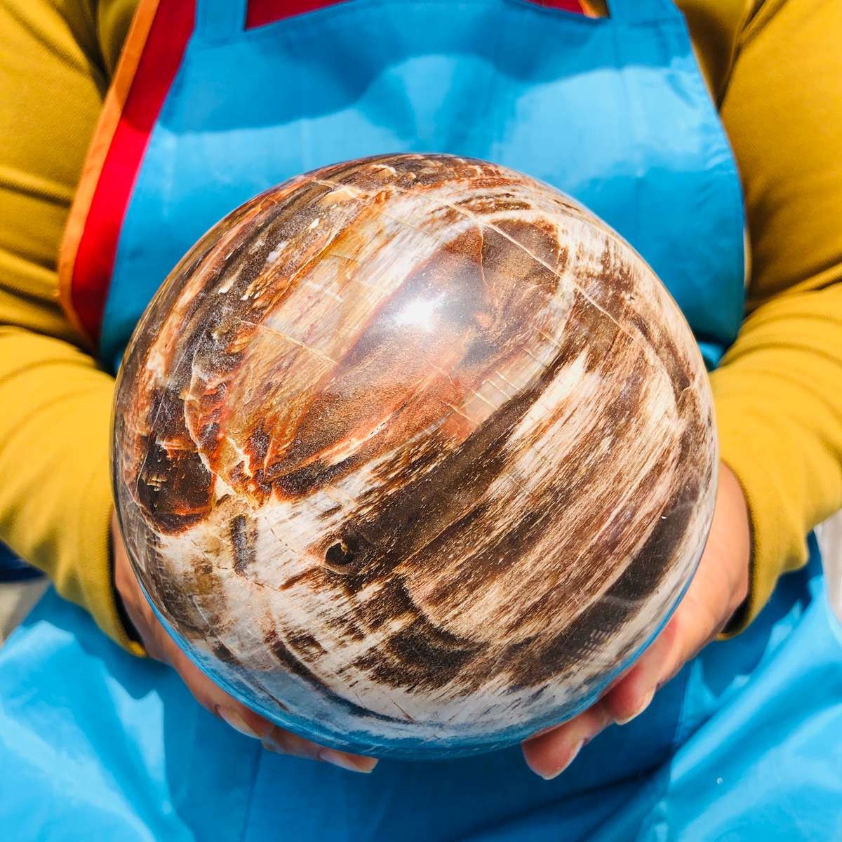 7.72LB Rare Natural Petrified Wood Ball Crystal Quartz Mineral Healing 4709