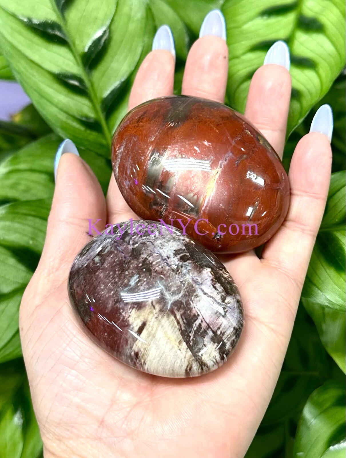Wholesale Lot 2 Lbs Natural Petrified Wood Palm Stone Crystal Healing