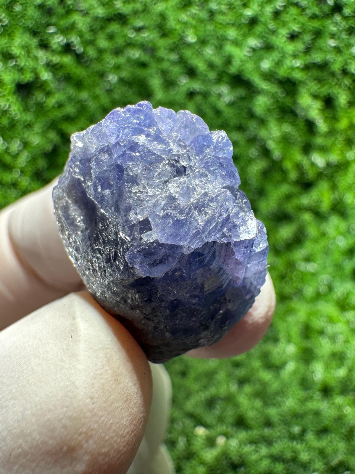 Lovely TANZANITE Crystal with COLOR CHANGE under yellow/white light / N759