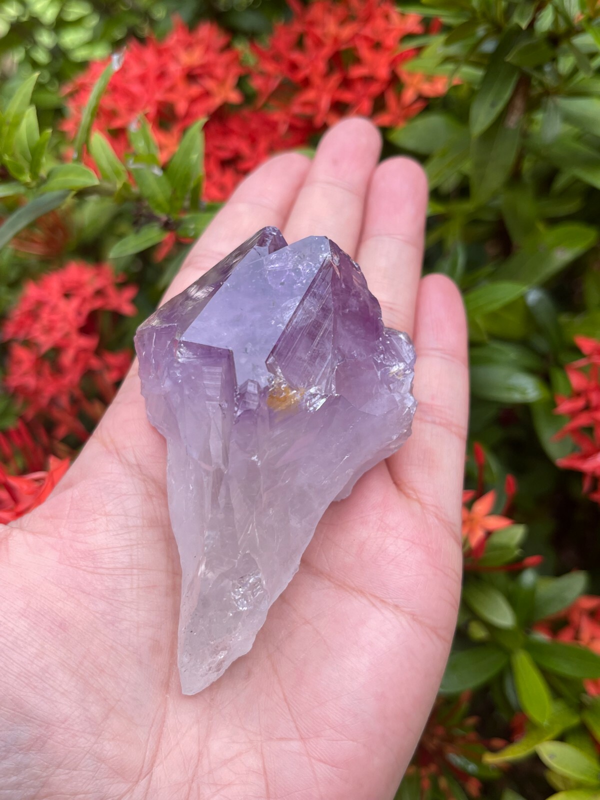 Extra Large Amethyst Rough Points, 2.5 – 3.25″ Raw Amethyst Points, Bulk Lot