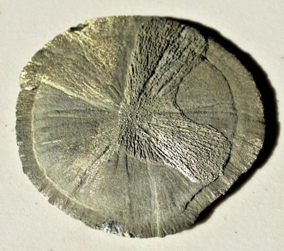 Large Pyrite Sun Dollar • 3.75″ Diameter • 152 grams