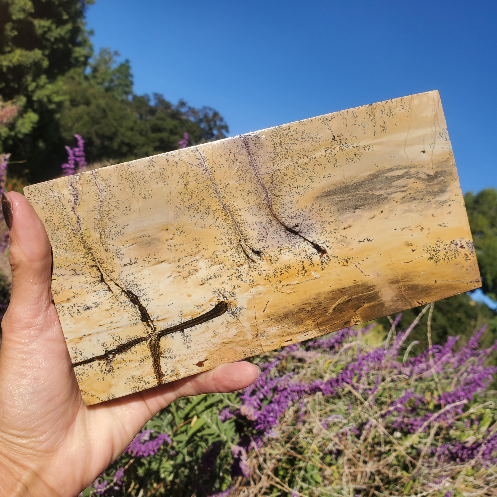 Picture Story Jasper Pastel Dendritic Display Crystal Tile Slab 918 grams