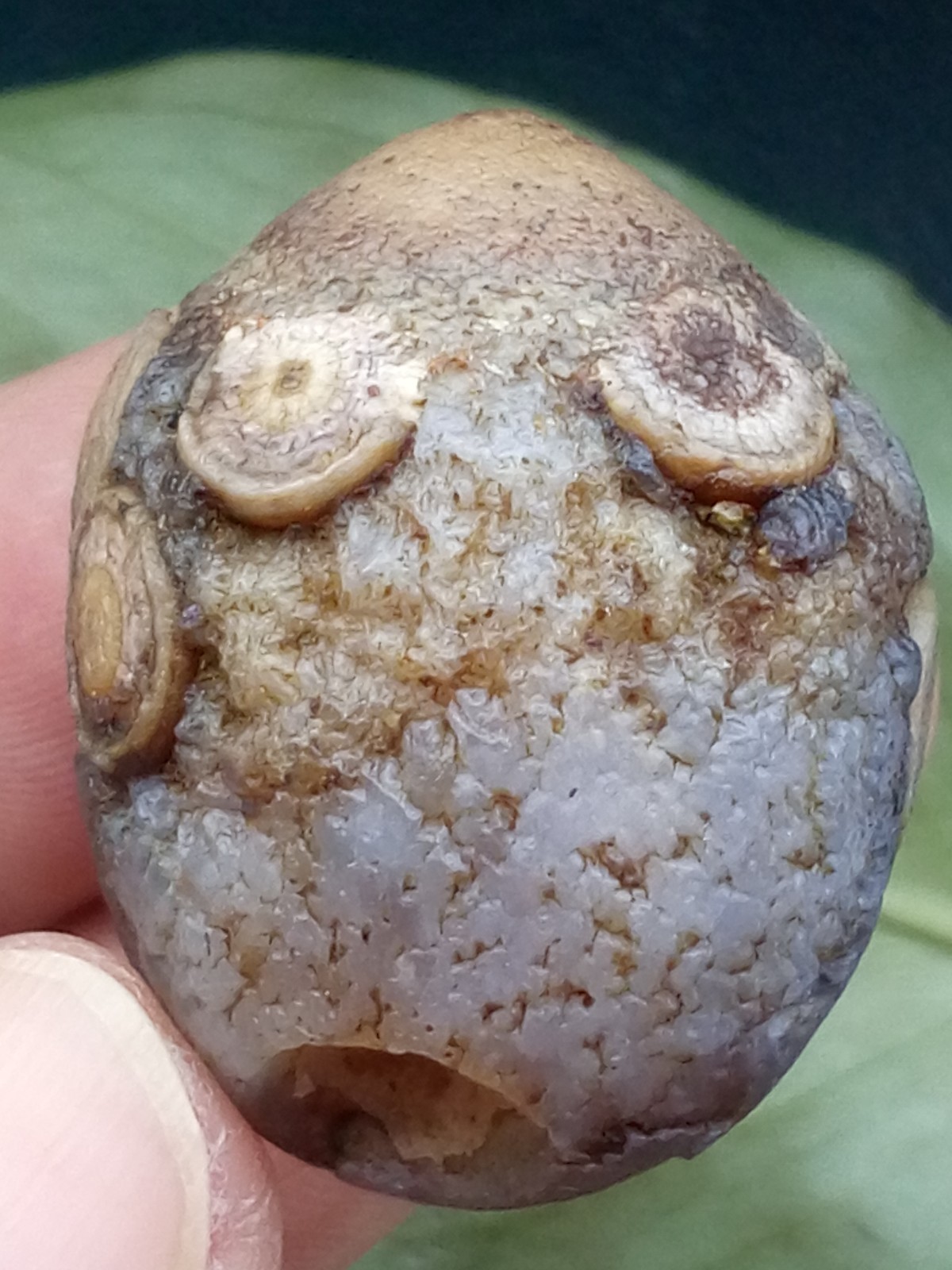 36mm Natural Gobi Agate eye agate stone collection