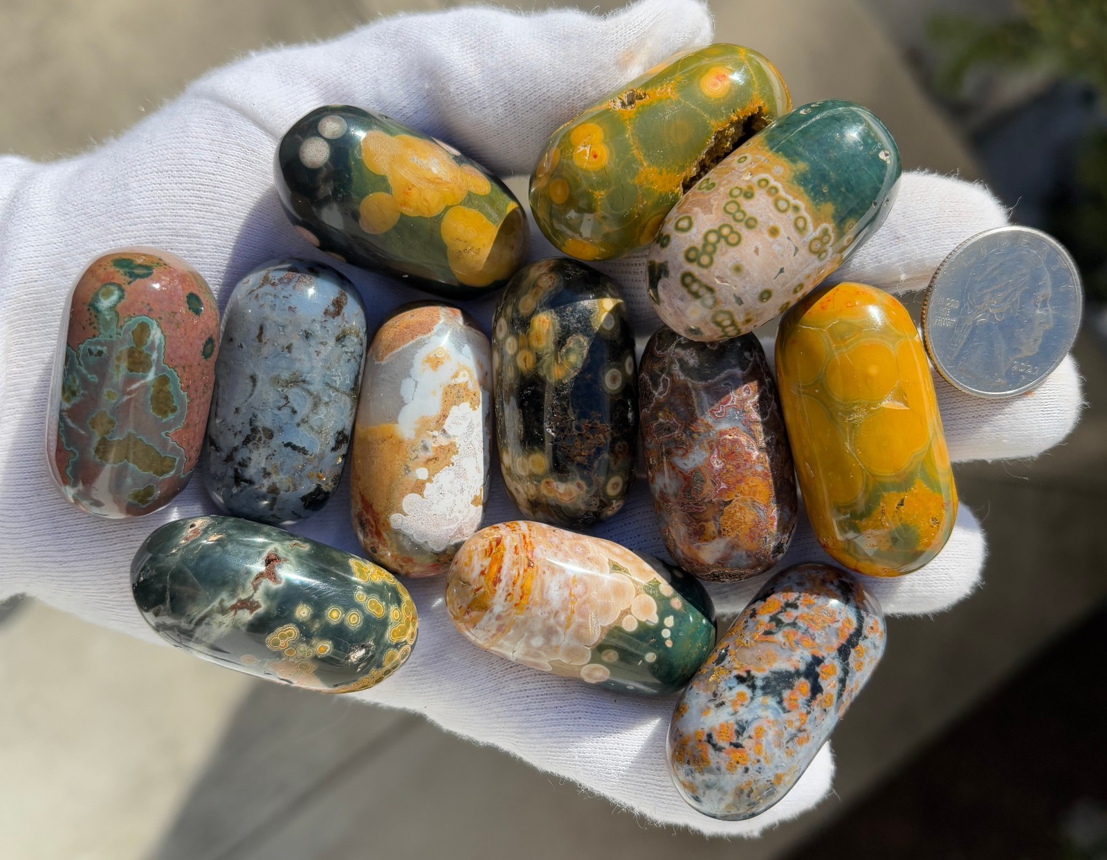 US SALE 349g LOT 12 OJ OCEAN JASPER LOG TUMBLE TUMBLES TUMBLED STONE STONES