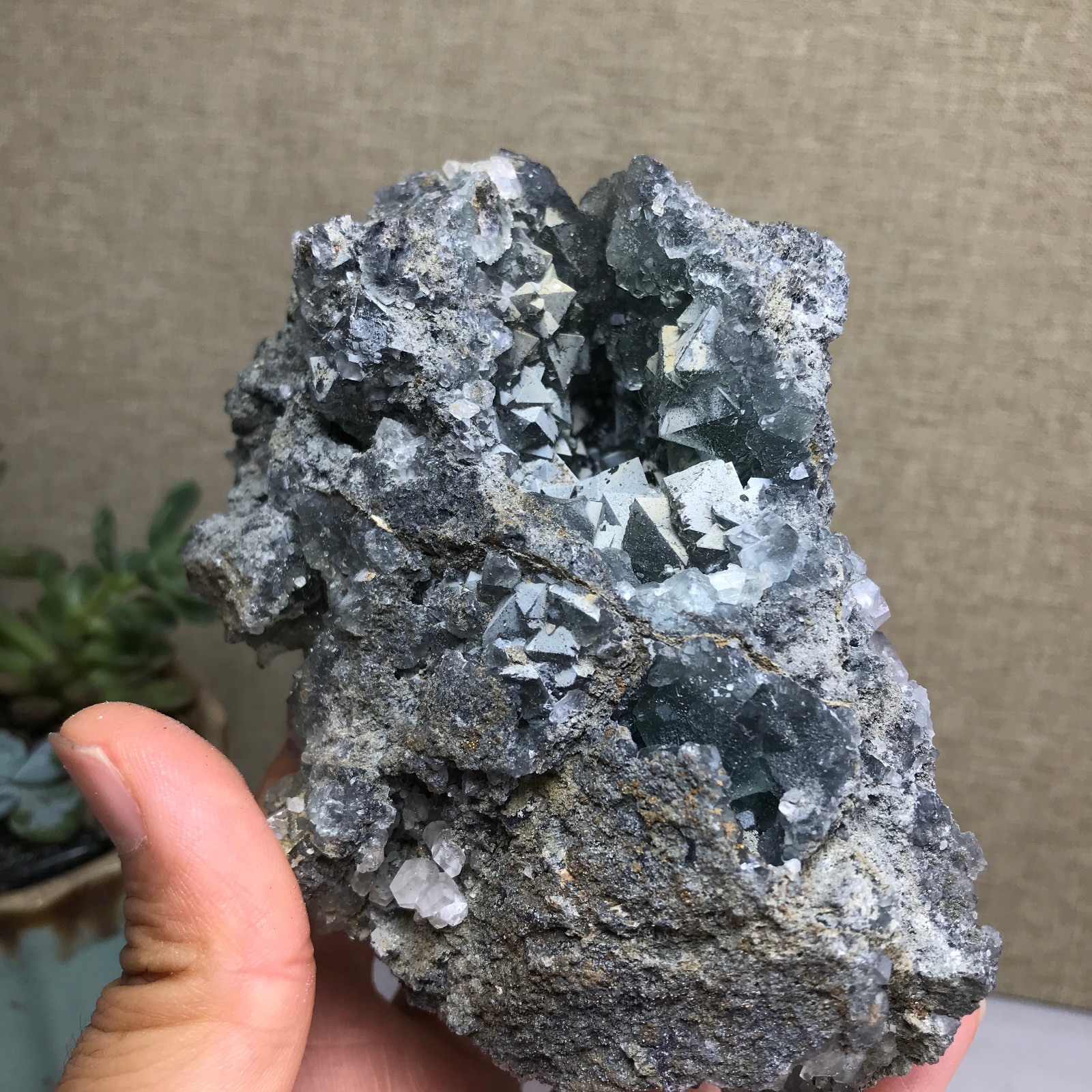476g NATURAL Green Cubic FLUORITE paragenesis Crystal Cluster Specimen A4780