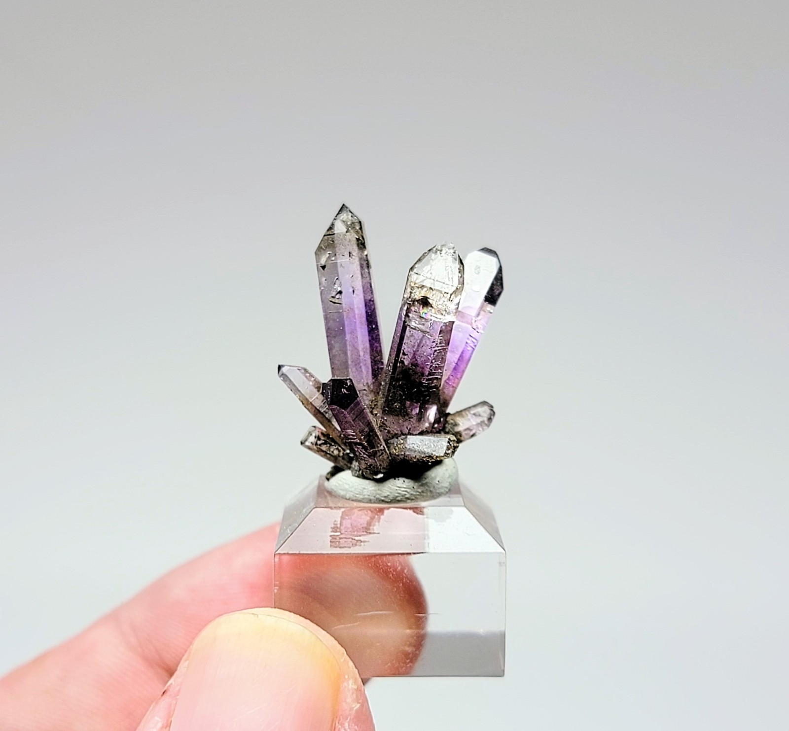 Stunning Amethyst Spray – Deep Purple Pocket, Piedra Porada, Veracruz, Mexico