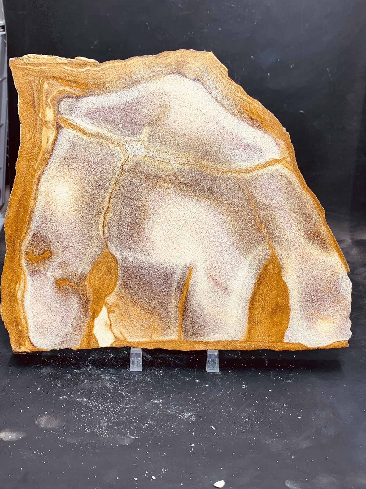 Picture Sandstone Display Slab ( Utah ) With Stand