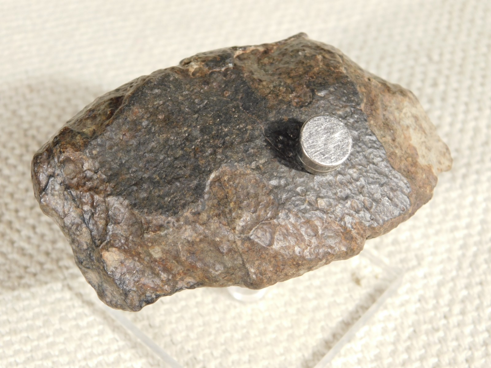 Larger N.W.A 869 Stony METEORITE with Dark Fusion Crust 197gr