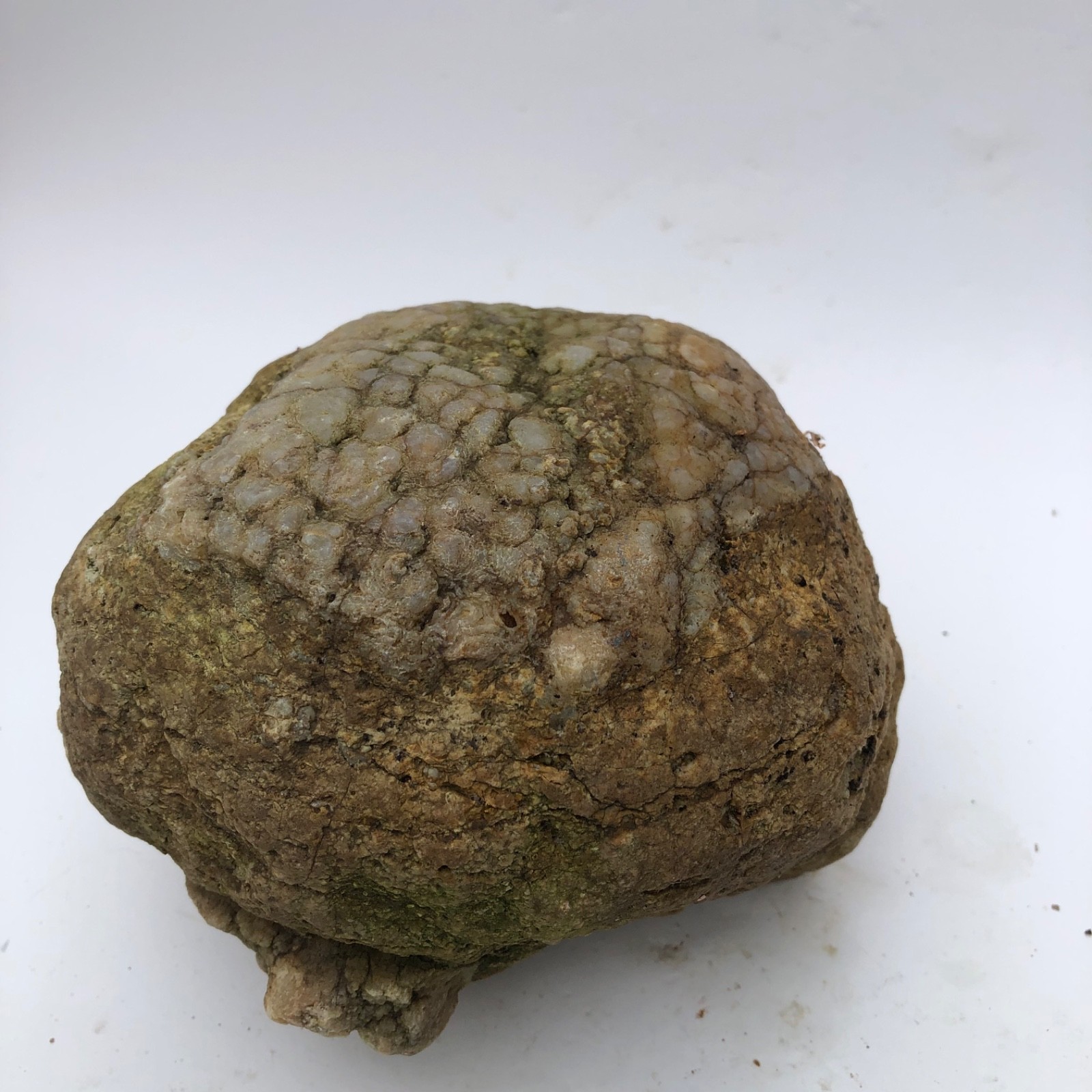 4 lb Unopened Kentucky Geode Rattler Break Your Own Hand Picked Natural Quartz