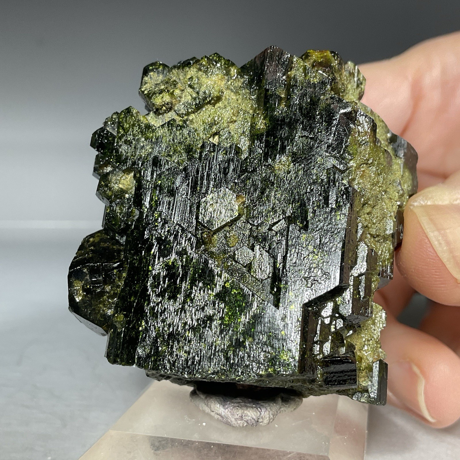 SS Rocks – Epidote (Caneto Province, Lima, Peru) 137g