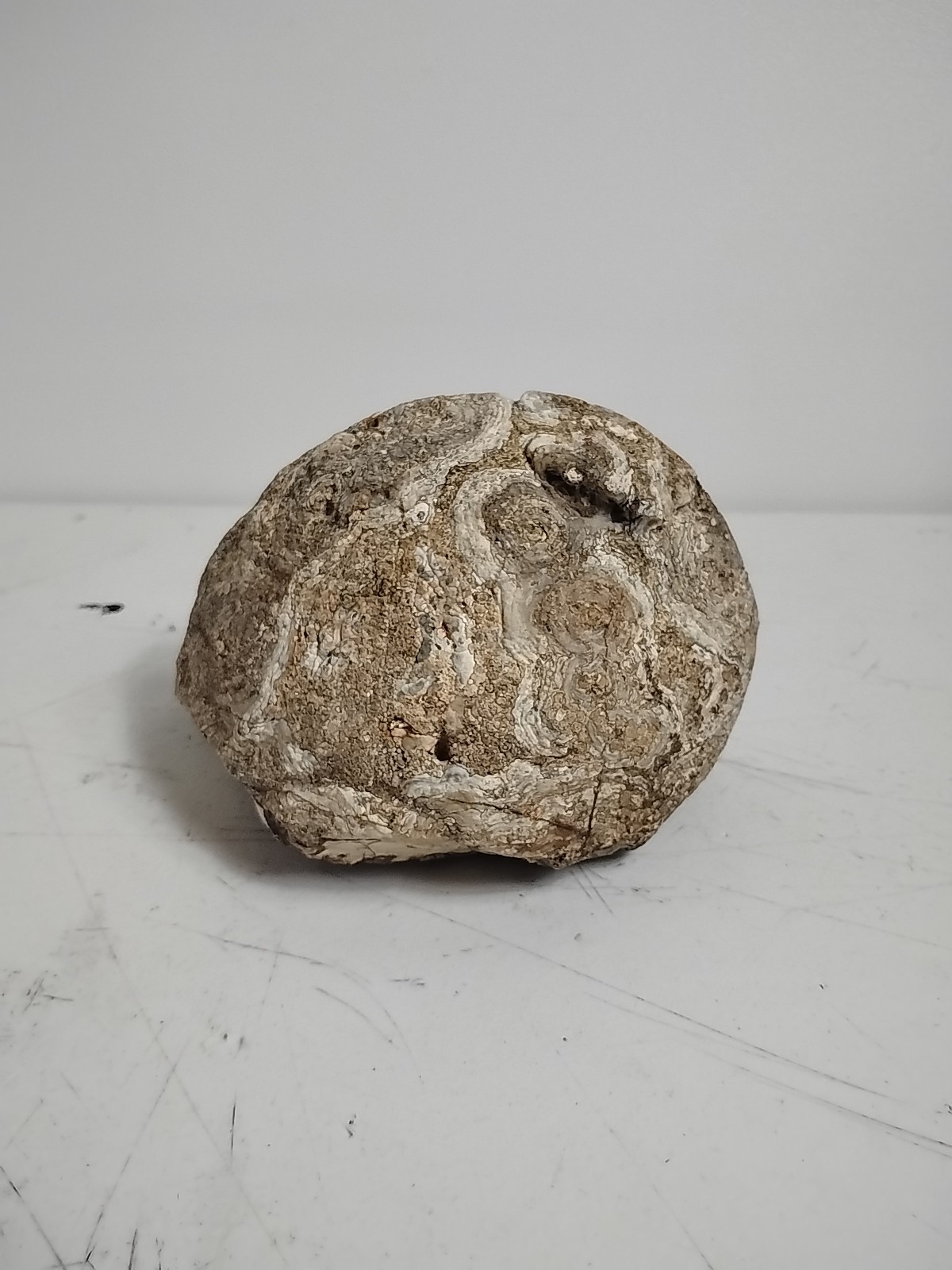 Geode Half Cut and Polished Origin Unknown White/Clear/Brown – SEE PICS!!!