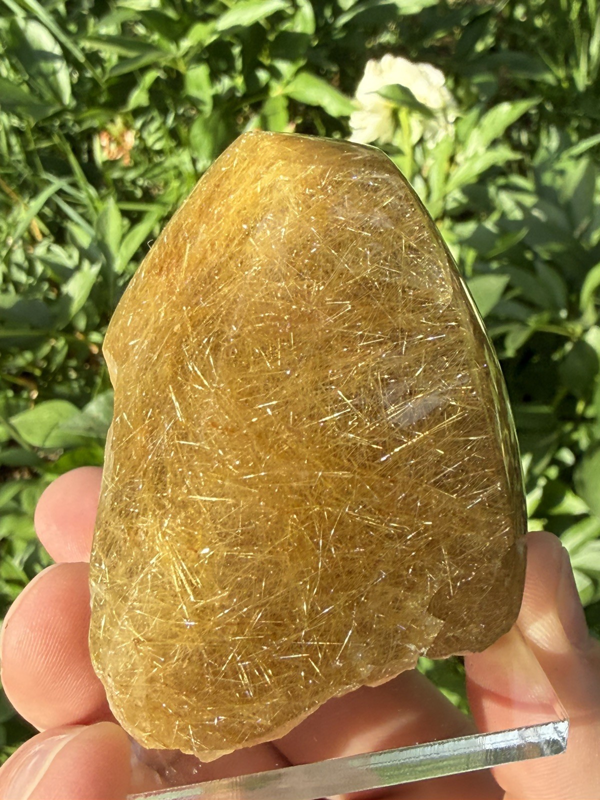 Golden Rutilated Included Quartz Freeform Polished Brazilian 6cm- 283g- ID68