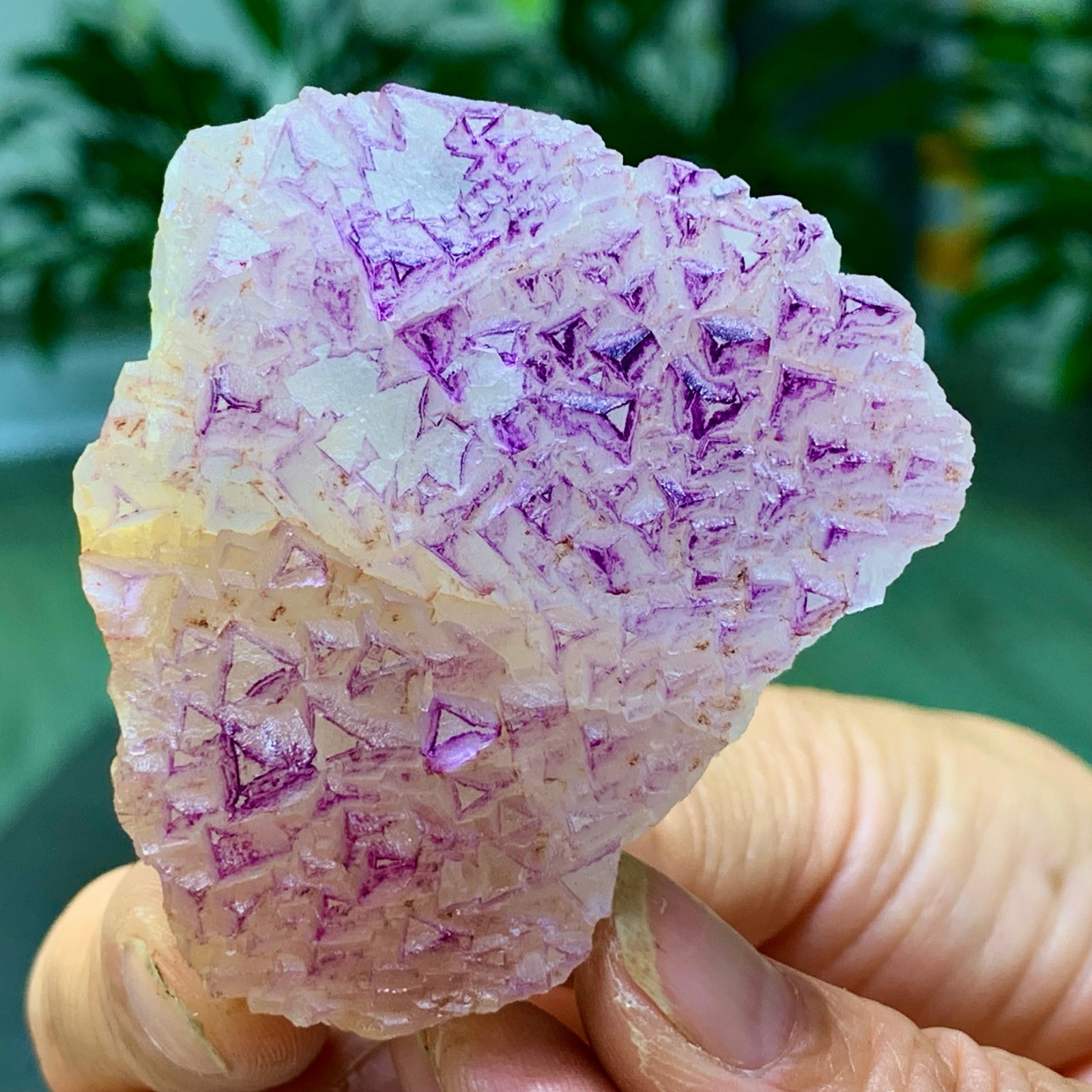 100G Natural fluorite purple edged cubic crystal mineral sample