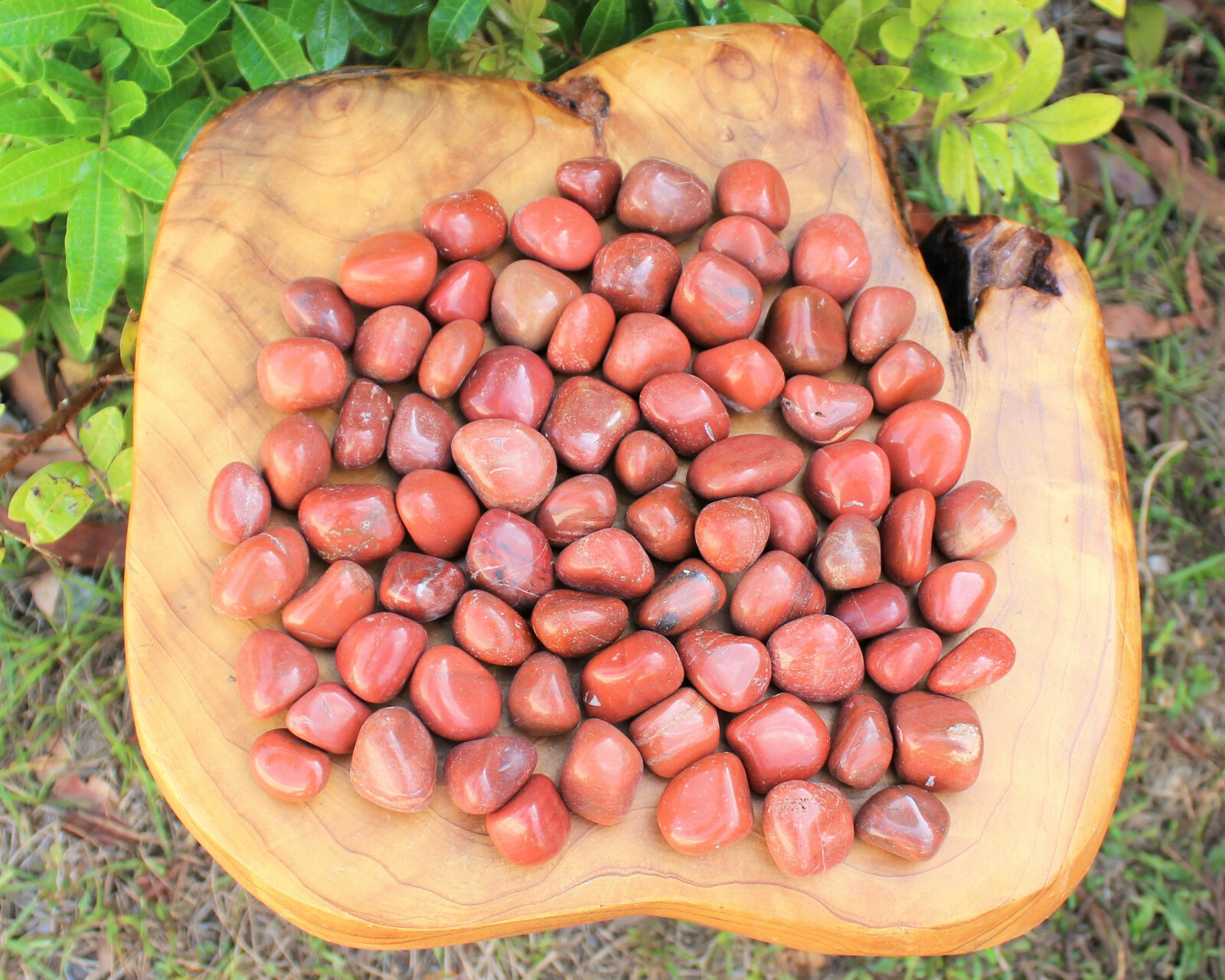 2 Medium Red Jasper Tumbled Stone Crystal Healing Gemstone Tumble