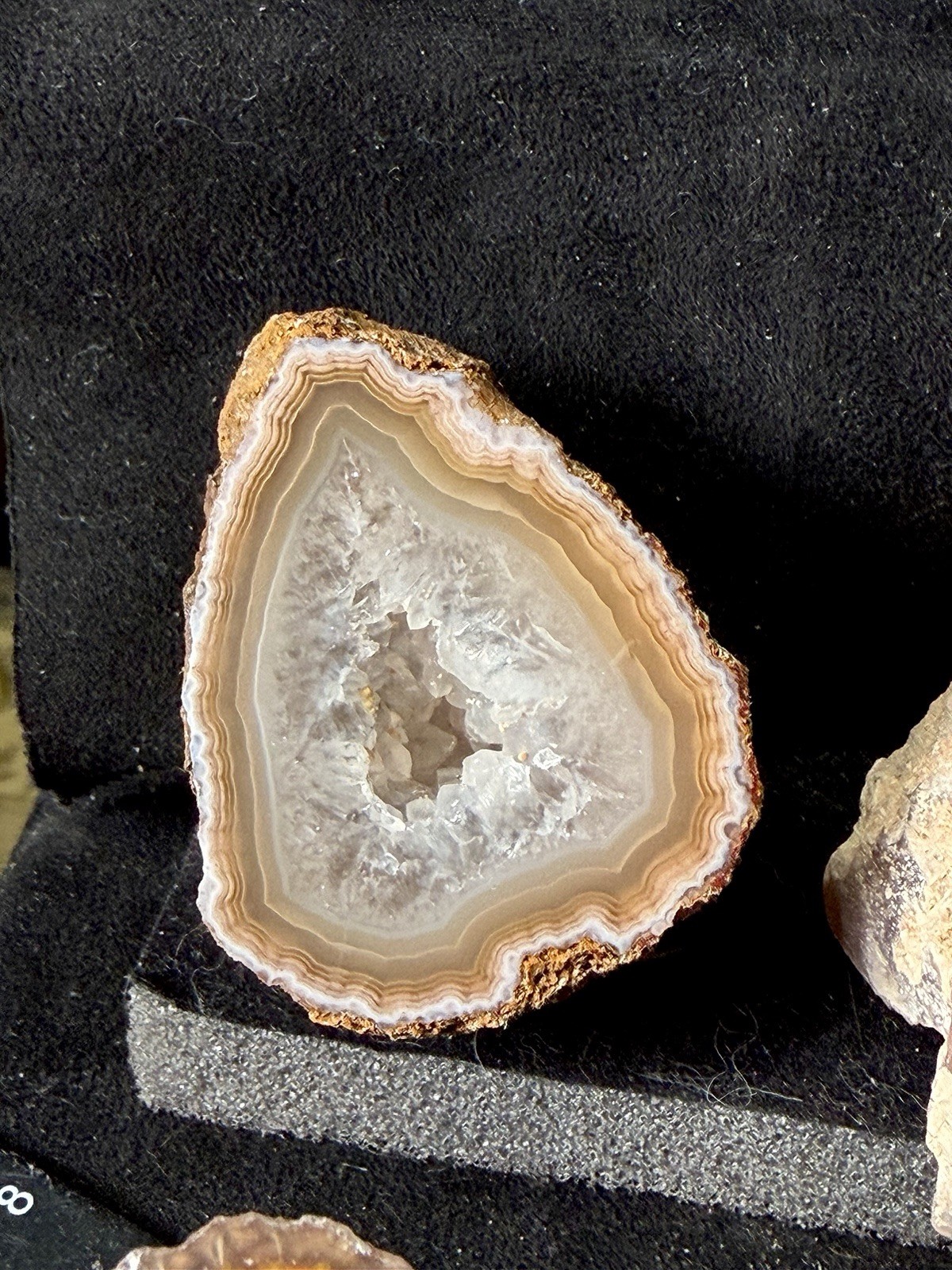 Huge Collection of Coyamito Agates. Mirror Polished Mexico. HARDAGATES