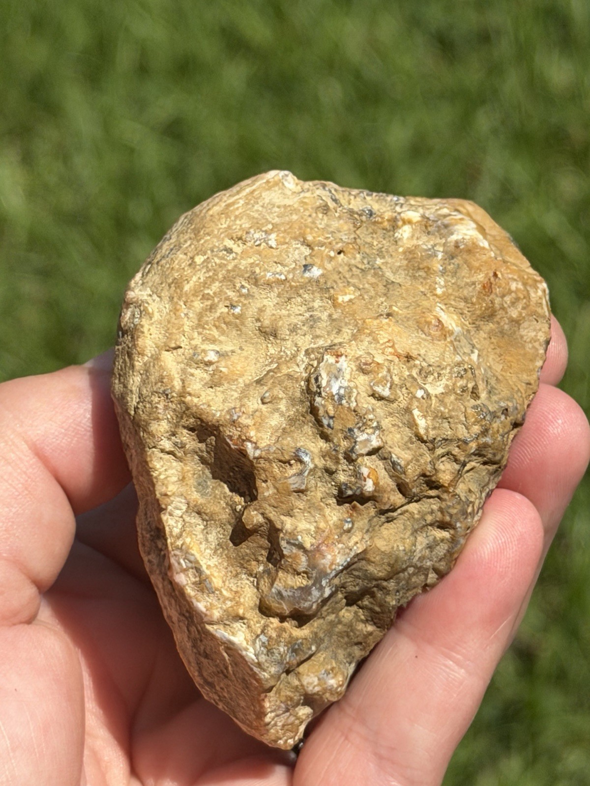 Vibrant Kentucky Agate Specimen – Irvine, KY | Rich Yellow, Red, & Smoky Purple