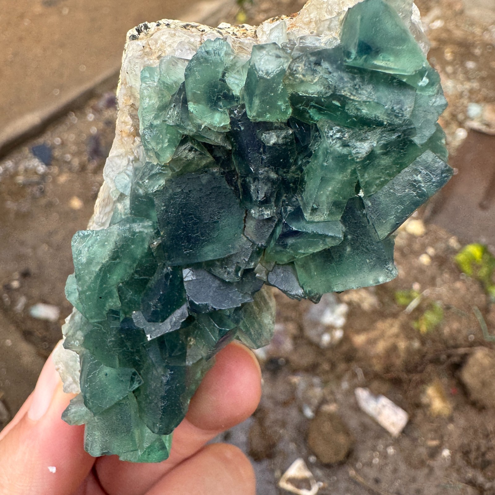 155G Natural cubic green fluorite crystal cluster rough mineral specimen Healing