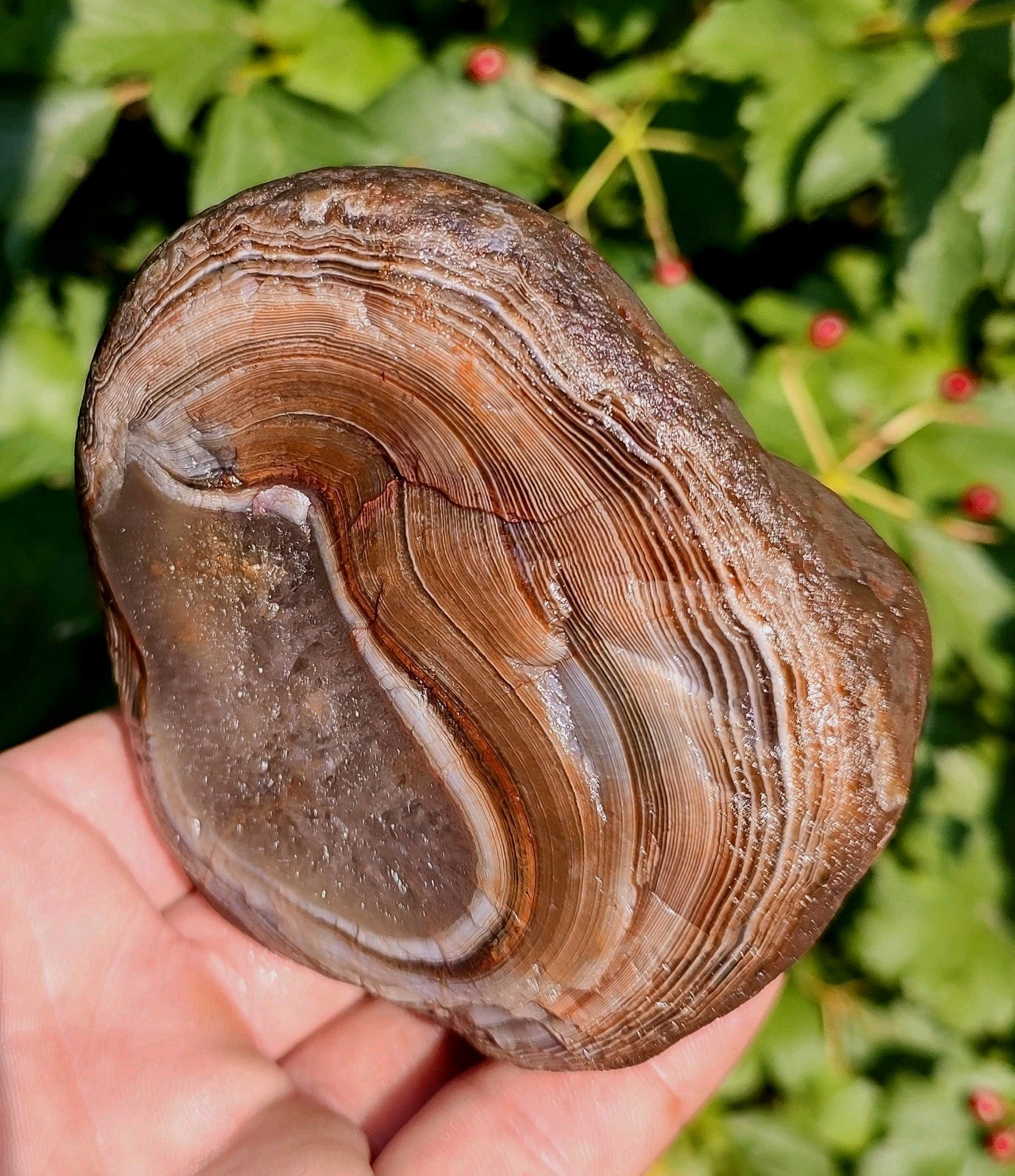 Lake Superior Agate✨, 1lb 8.7oz Outstanding Mixed Color Lake Superior Gem