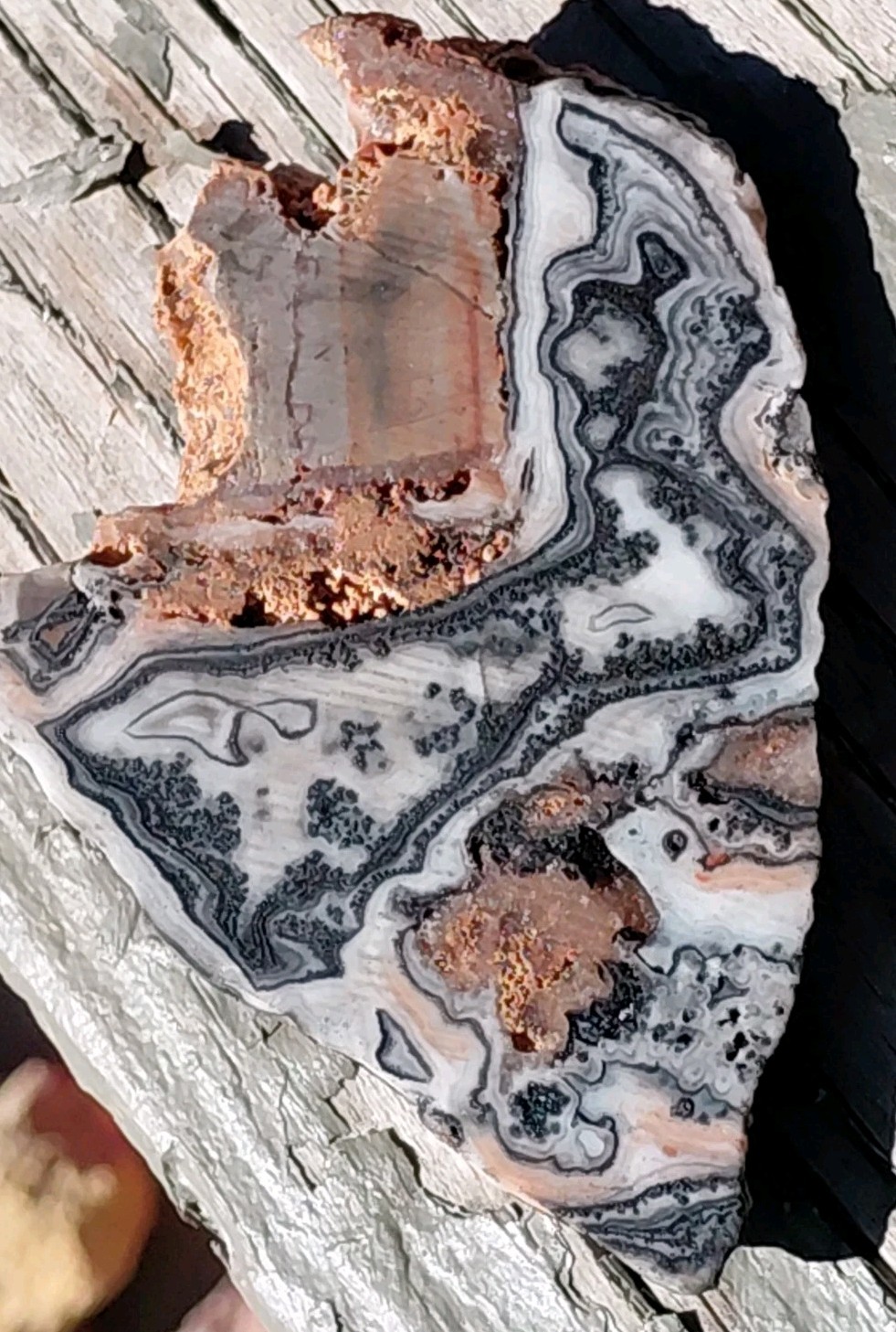 Zebra Calcite Lace Dendrite Bands Display Décor Reiki Cabs End Slab 3 1/2″×2 1/2