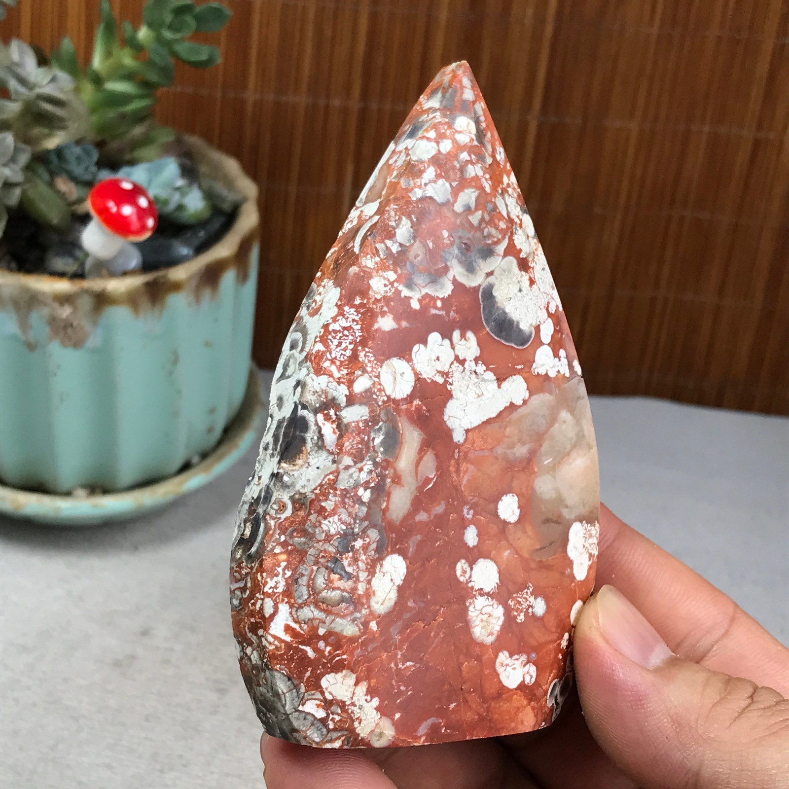 Natural money Mexico agate hand carve leaf Crystal Specimen free standing A6266