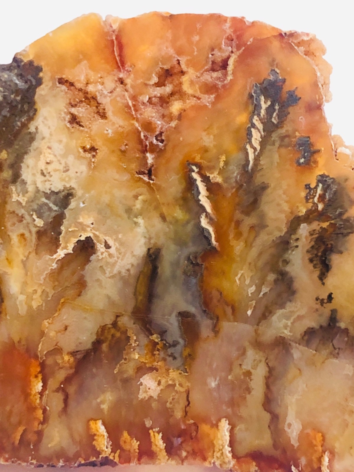 Graveyard Plume Agate Museum Grade Collectors Slab Oregon 202 Grams