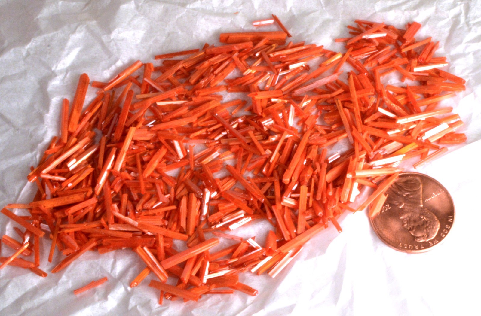 #5186 Crocoite Crystal Stick – Adelaide Mine, Tasmania [5 PIECES ONLY]