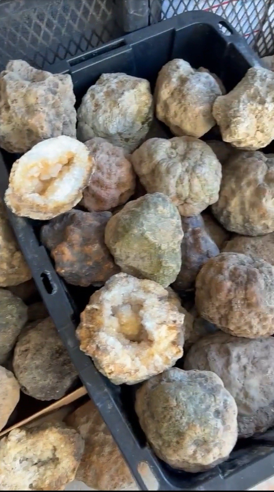 15 lbs Unopened Geodes Lot Natural Quartz Crystal Break Your Own Geode/ Lapidary