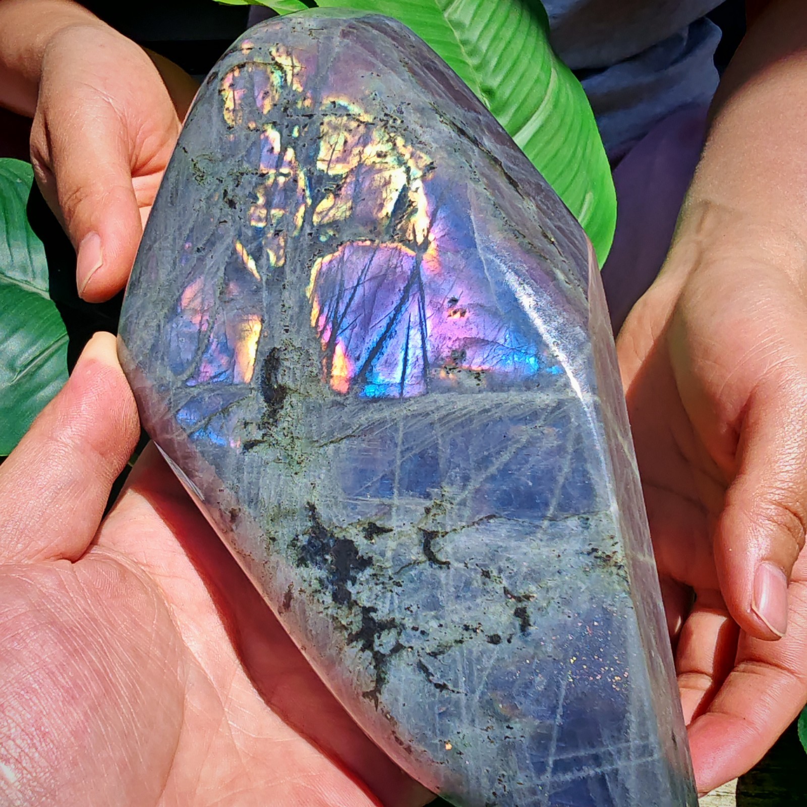 2.75LB TOP Natural Purple light labradorite quartz spectrolite crystal