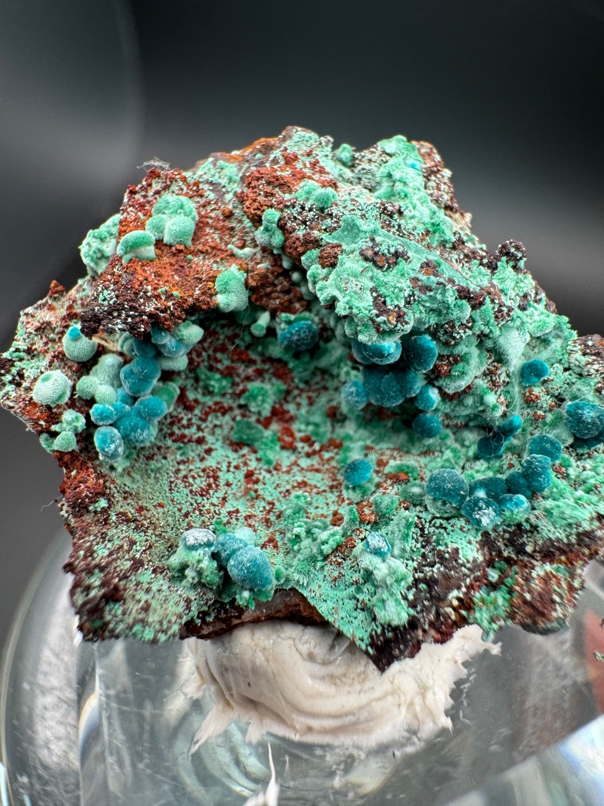 6757 Rosasite and Malachite on Matrix in Perky 8g Ojuela Mine, MX
