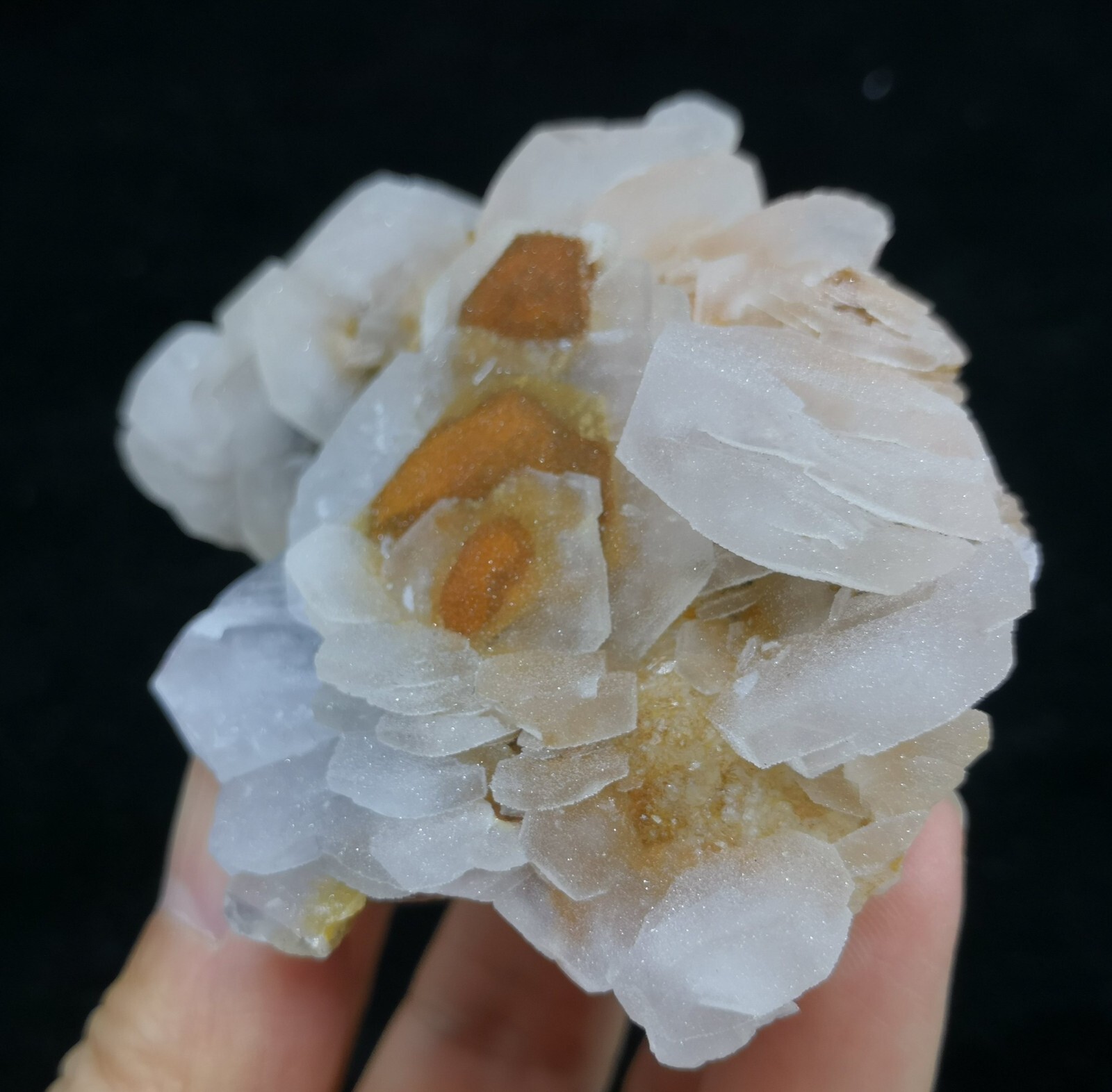 NEW FIND – 97mm Stunning ‘sunflower-like’ Calcite with drusy Quartz coating
