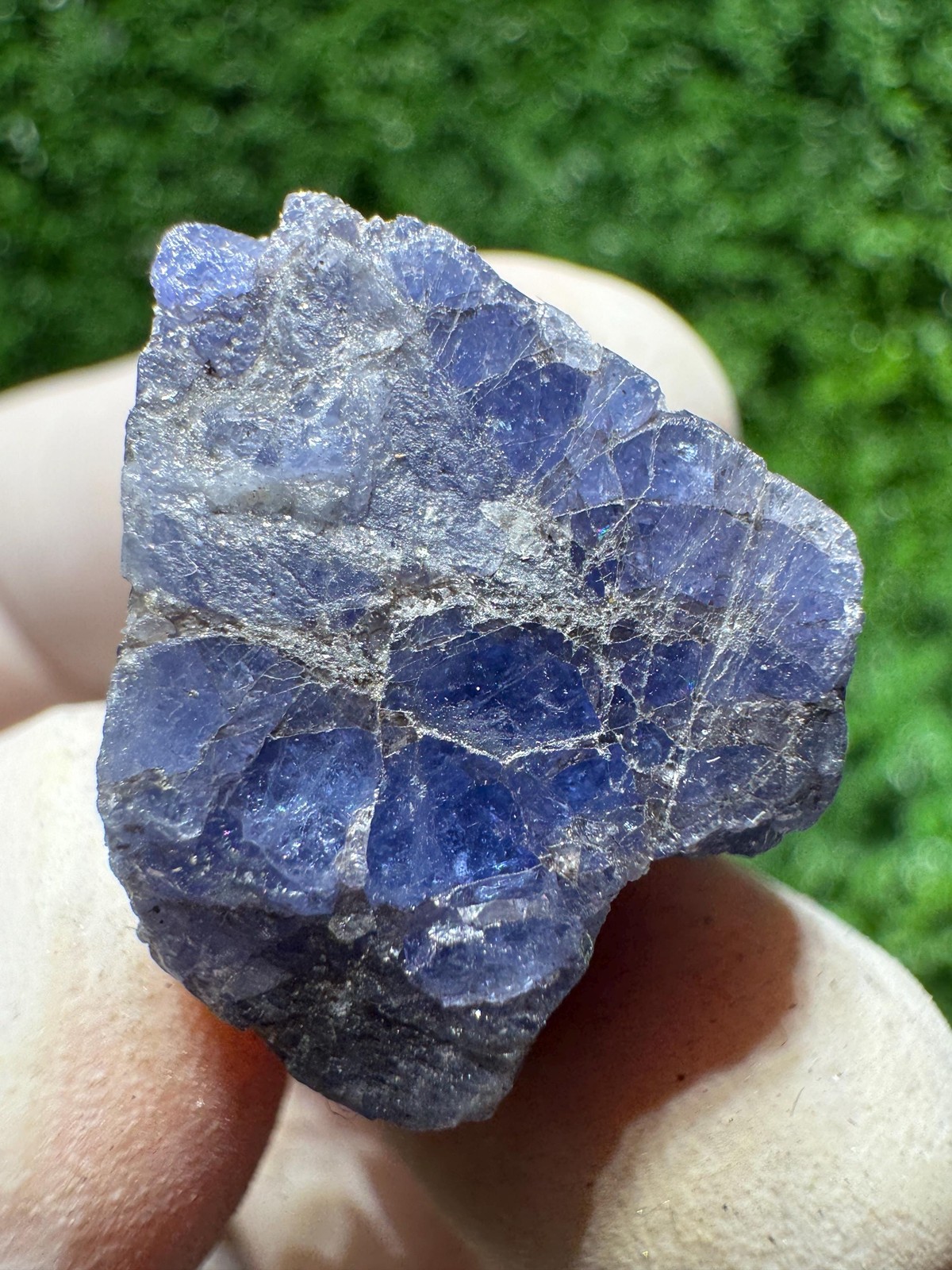 Lovely TANZANITE Crystal with COLOR CHANGE under yellow/white light / N445