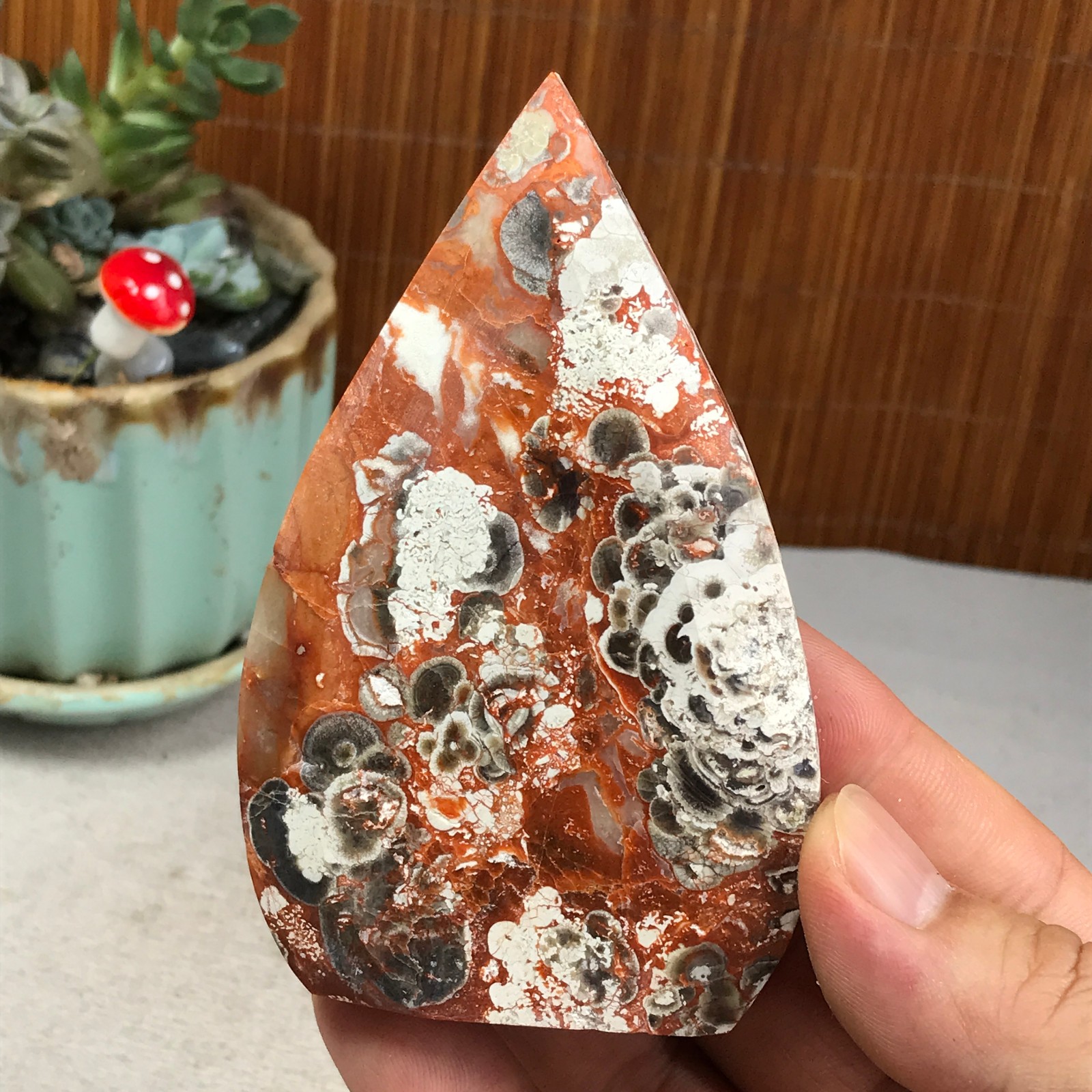Natural money Mexico agate hand carve leaf Crystal Specimen free standing A6266