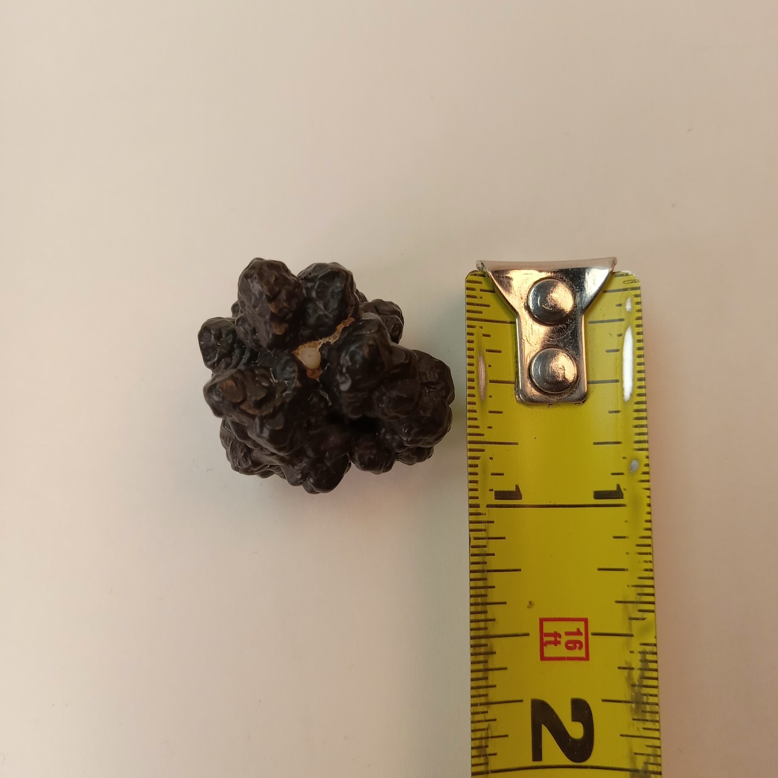 Prophecy Stone Natural Goethite Hematite Mineral Specimen 19g | H9