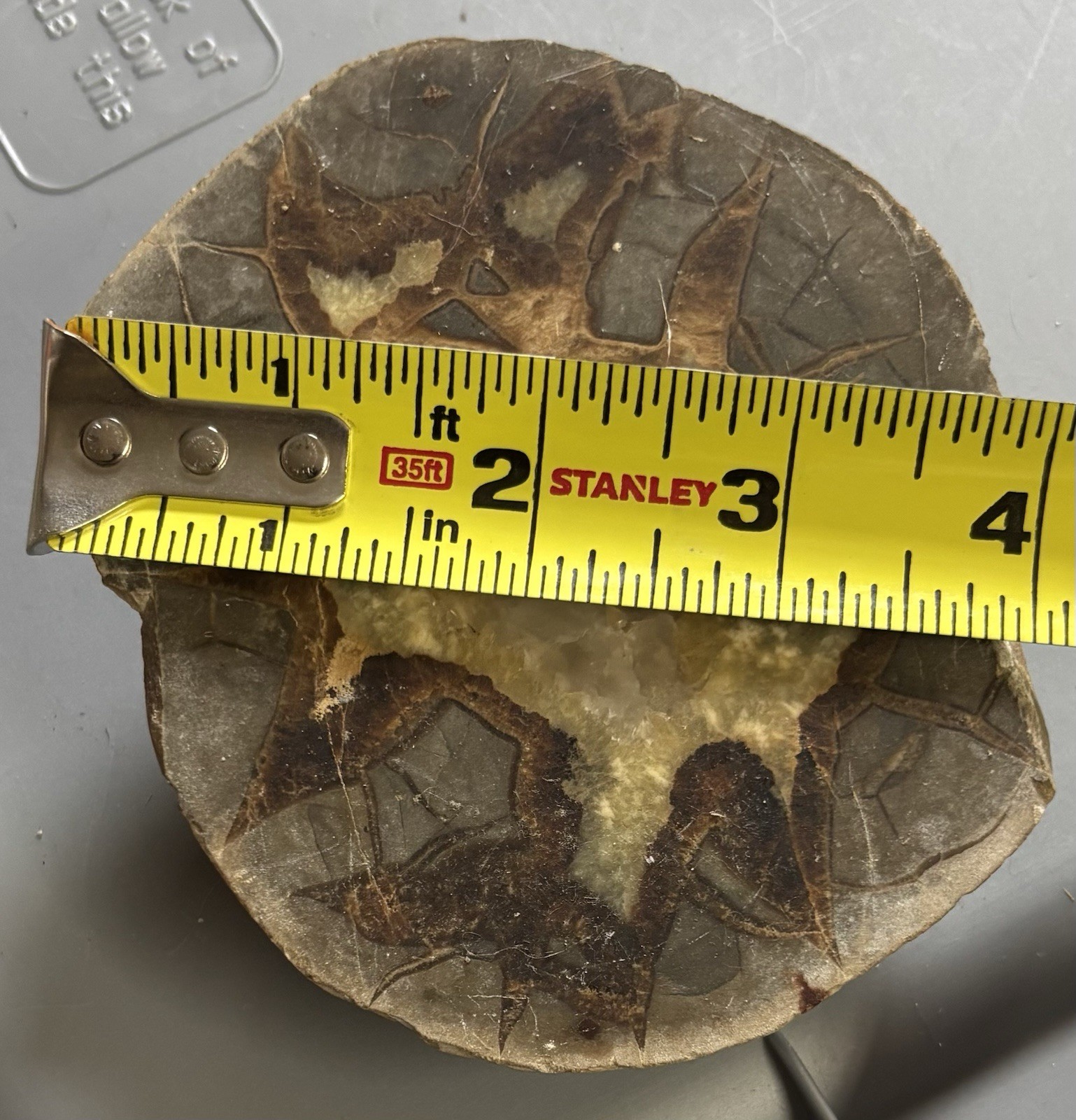 Septarian Nodule Slab Stone Rock Mineral Utah Specimen Yellow Crystals