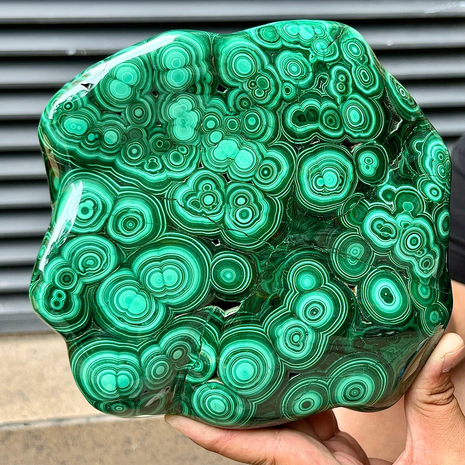 Natural Malachite Stone Polished Slab Bull Eye Pattern Display Decor 7.1 lb
